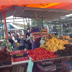 Vinkovci Market - Vinkovci