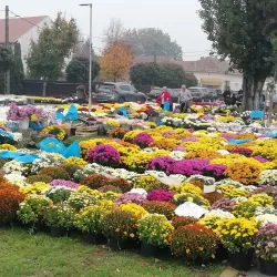 Vinkovci Market - Vinkovci