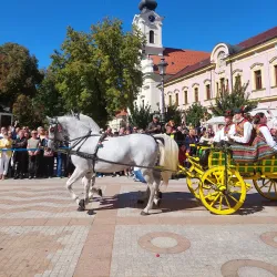 Vinkovci Old Town - Vinkovci