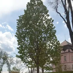 Park Gradina - Virovitica