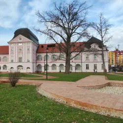 Virovitica Castle (Gradina) - Virovitica