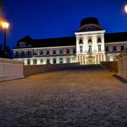 Virovitica Castle (Gradina) - Virovitica
