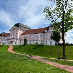Virovitica Castle (Gradina) - Virovitica