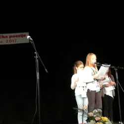 Virovitica Cultural Center - Virovitica