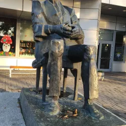 Virovitica Library - Virovitica