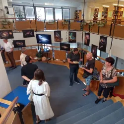 Virovitica Library - Virovitica