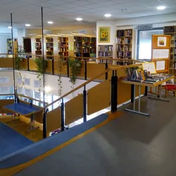 Virovitica Library - Virovitica