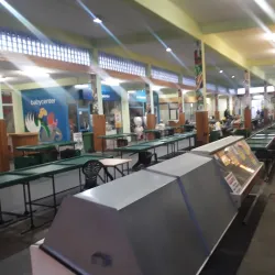 Virovitica Market - Virovitica