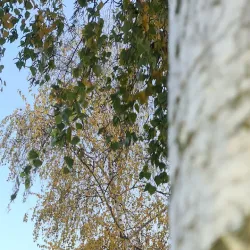 Danube River Promenade - Vukovar