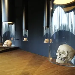 Vučedol Archaeological Site - Vukovar