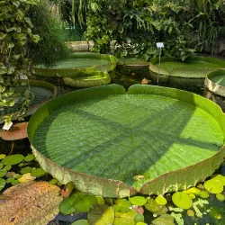 Botanical Garden Zagreb - Zagreb