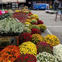 Dolac Market - Zagreb