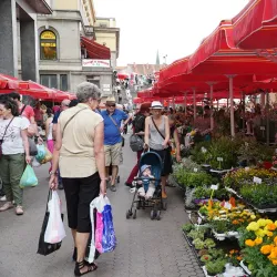 Dolac Market - Zagreb