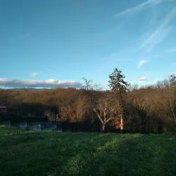 Jelenovac Forest Park - Zapresic