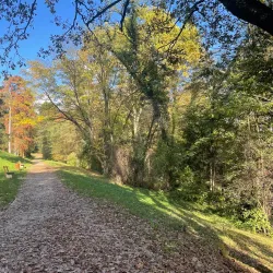 Jelenovac Forest Park - Zapresic