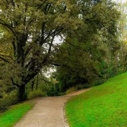 Jelenovac Forest Park - Zapresic