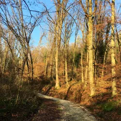 Jelenovac Forest Park - Zapresic