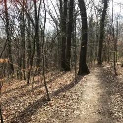 Jelenovac Forest Park - Zapresic