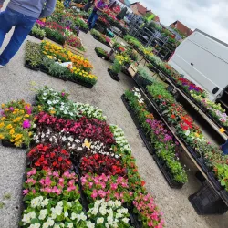 Local Farmers Market - Zapresic