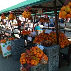 Local Farmers Market - Zapresic