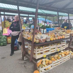 Local Farmers Market - Zapresic
