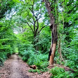 Medvednica Nature Park (nearby) - Zapresic