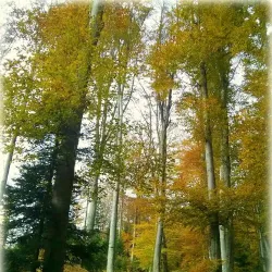 Medvednica Nature Park (nearby) - Zapresic