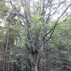 Medvednica Nature Park (nearby) - Zapresic
