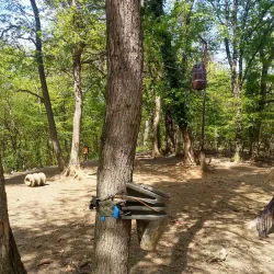 Medvednica Nature Park (nearby) - Zapresic