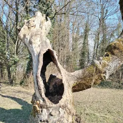 Old Town Zaprešić - Zapresic