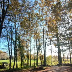 Old Town Zaprešić - Zapresic