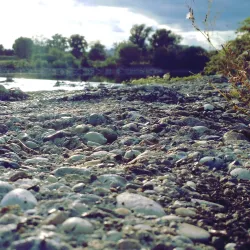 Sava River Walk - Zapresic