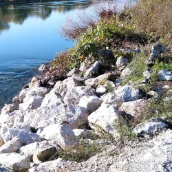 Sava River Walk - Zapresic