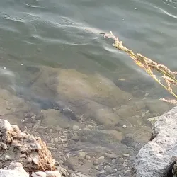 Sava River Walk - Zapresic