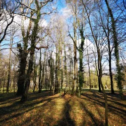 Zaprešić Cultural Center - Zapresic