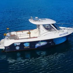 Fishing Spots Along the Ribnica River - Zlatar