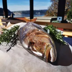 Fishing Spots Along the Ribnica River - Zlatar