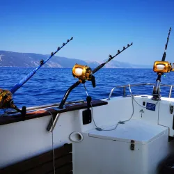 Fishing Spots Along the Ribnica River - Zlatar
