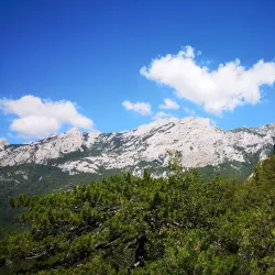 Nature Trails and Hiking Paths - Zlatar