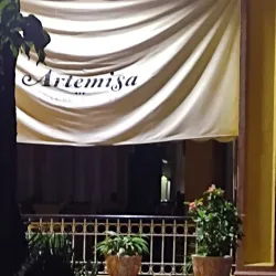 Casa de la Cultura de Artemisa - Artemisa