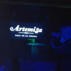 Casa de la Cultura de Artemisa - Artemisa