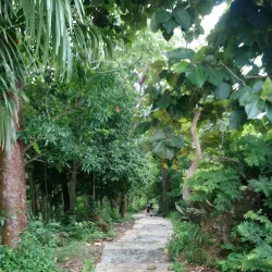 Reserva Ecológica La Guira - Artemisa