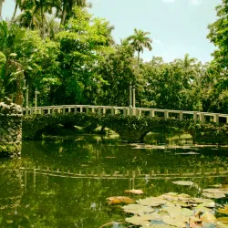 Reserva Ecológica La Guira - Artemisa