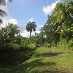 Alejandro de Humboldt National Park - Baracoa