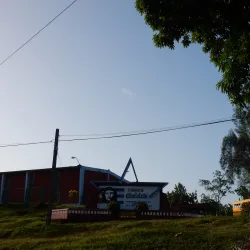 Cacao Farms - Baracoa