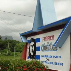Cacao Farms - Baracoa