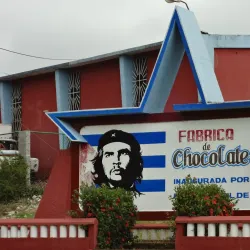 Cacao Farms - Baracoa