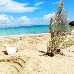 Maguana Beach - Baracoa