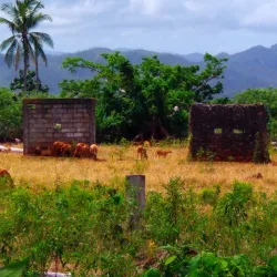 Playa Blanca - Baracoa