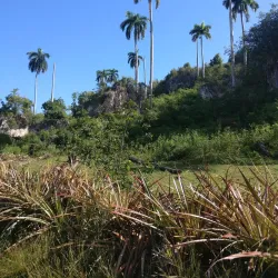 Playa Blanca - Baracoa